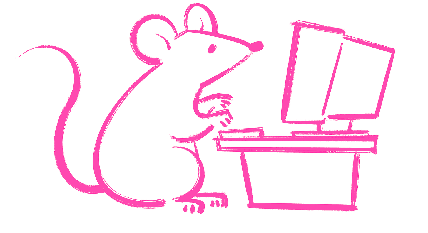 Rat working at a computer.