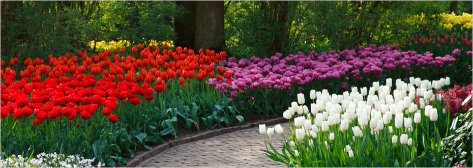 A brick garden path is surrounded by colorful flowers.