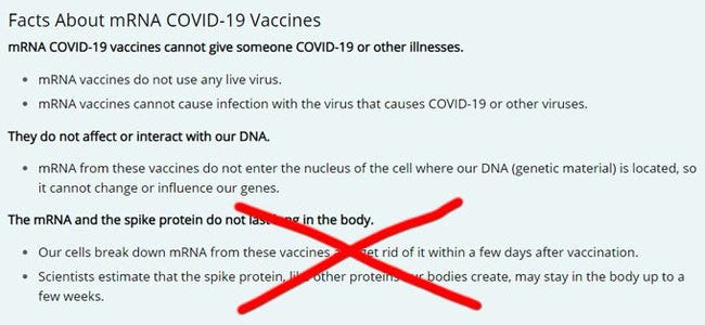 facts about mRNA COVID-19 vaccines
