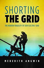 Shorting the Grid: The Hidden Fragility of Our Electric Grid eBook :  Angwin, Meredith: Amazon.ca: Books