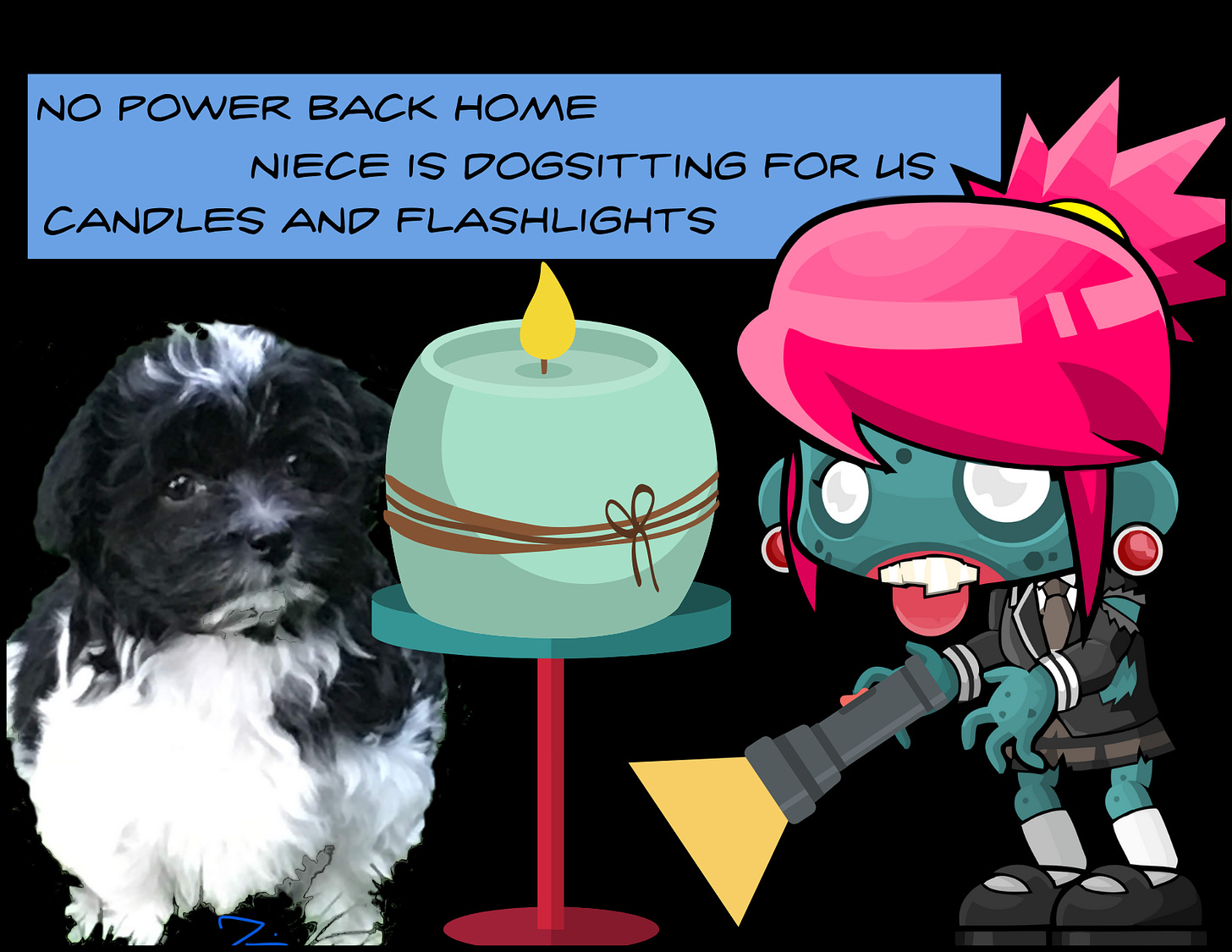 Picture of zombie teenage girl with flashlight, a table with a candle on it, and the world's cutest black and white Havanese dog. The comic caption reads: no power back home/ niece is dogsitting for us/ candles and flashlights