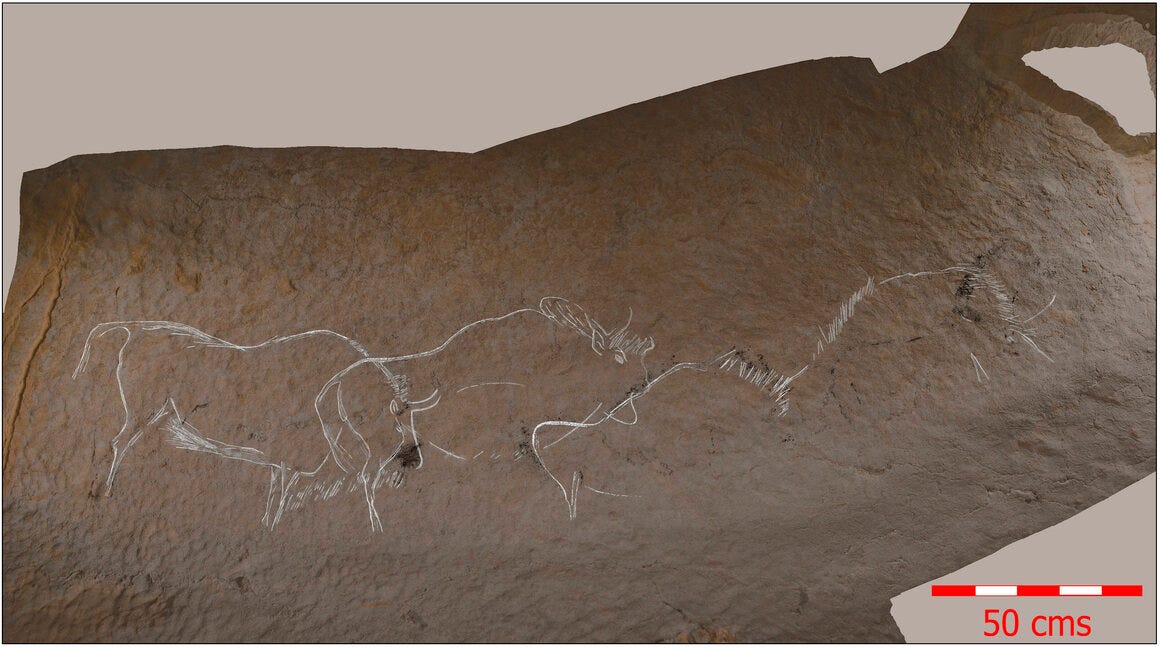 Multiple, overlapping carvings of bison and other animals in Atxurra Cave may have appeared to be moving when seen by firelight. 