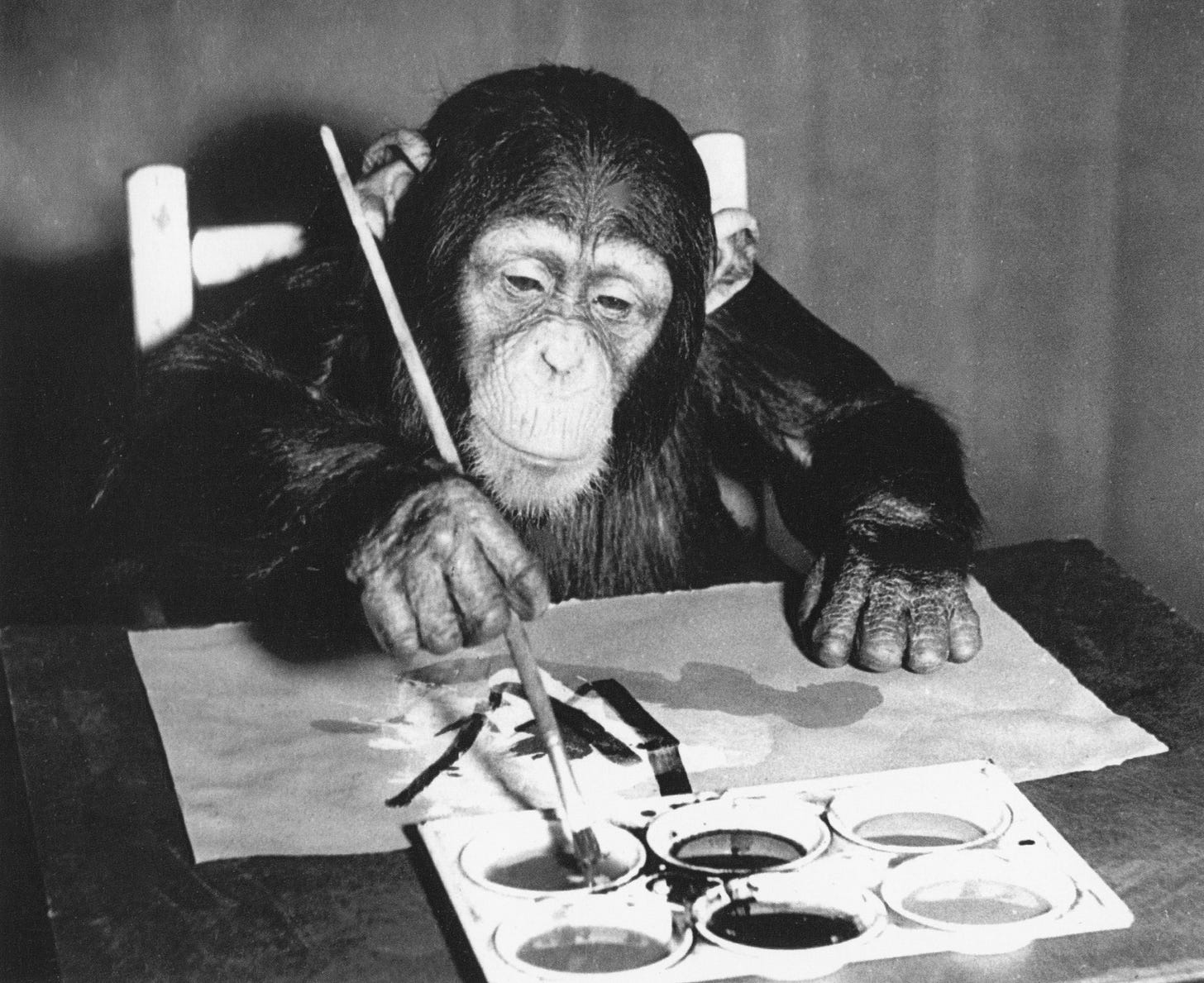 Congo, the Late Chimpanzee Painter Whose Works Have Sold for Thousands,  Will Have a Show at a Respected London Gallery