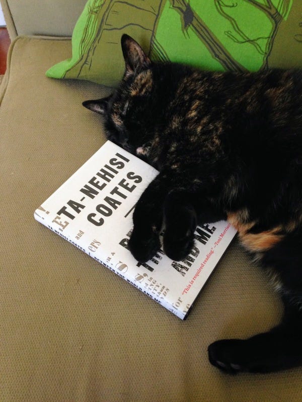 Boo, who belongs to loyal subscriber Jessica, likes Ta-Nehisi Coates, too.