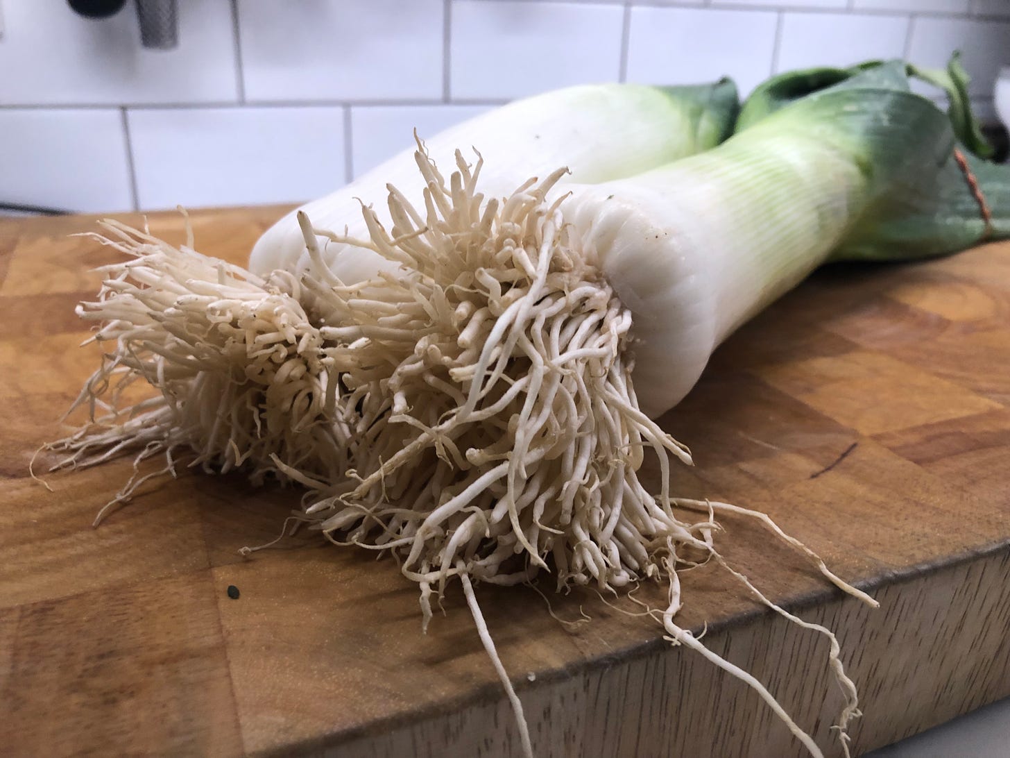 Two very large leeks on a cutting board