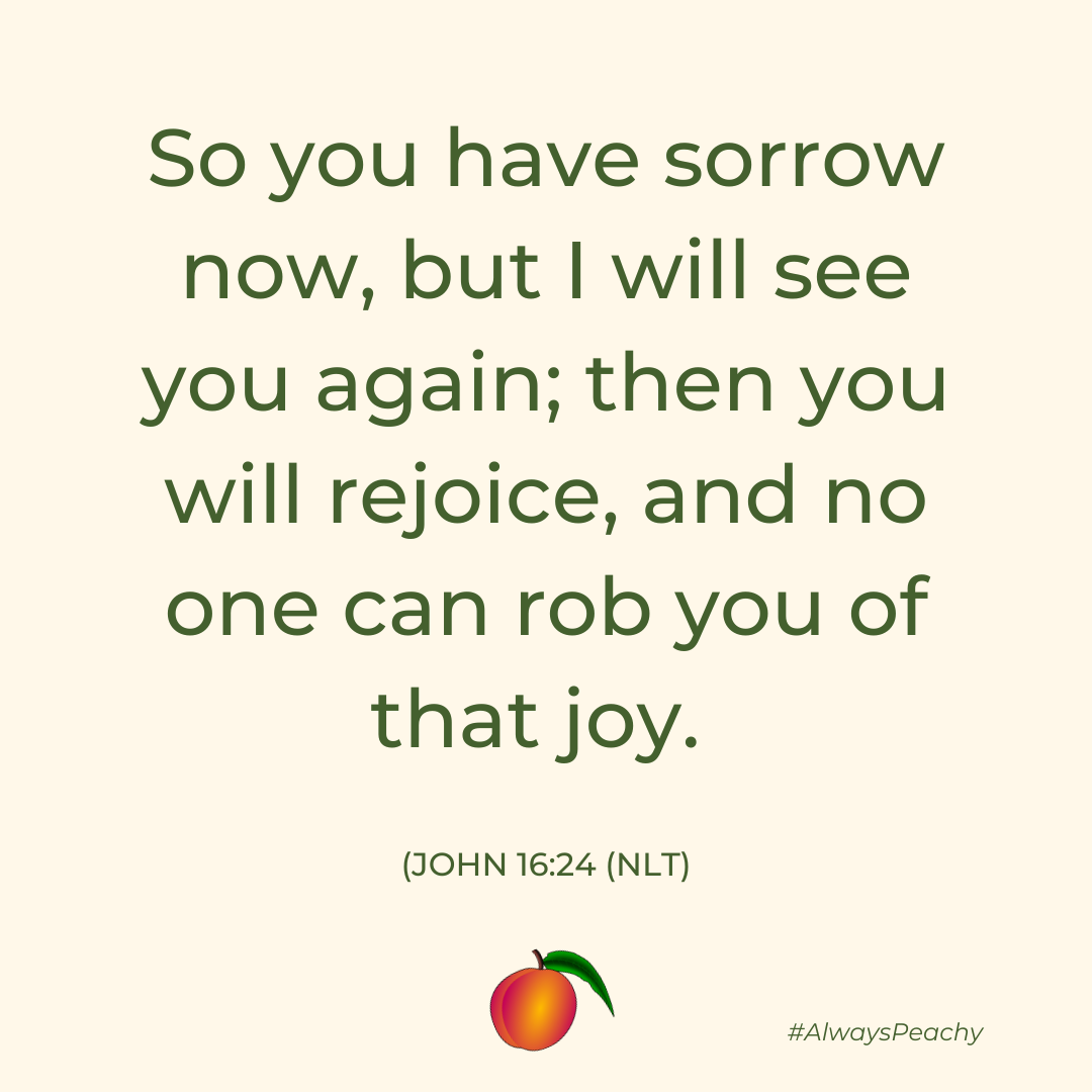 So you have sorrow now, but I will see you again; then you will rejoice, and no one can rob you of that joy.