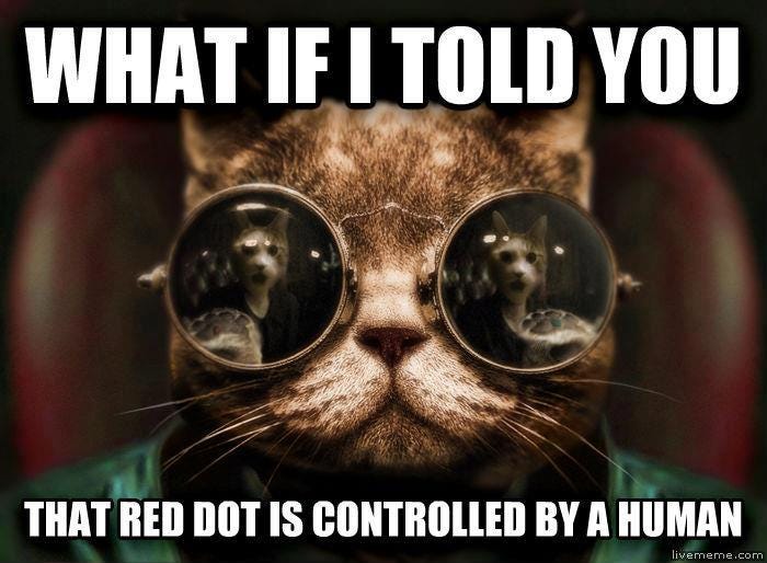 Conspiracy Cat - 90kids - Childhood Nostalgia