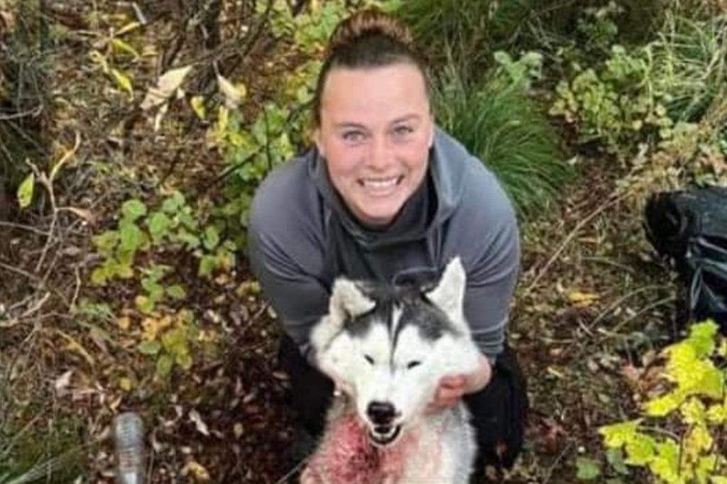 Flathead county Montana Sheriff's office is investigating Amber Rose Hart for allegedly kiling and skinning a Husky thinking it's a Wolf