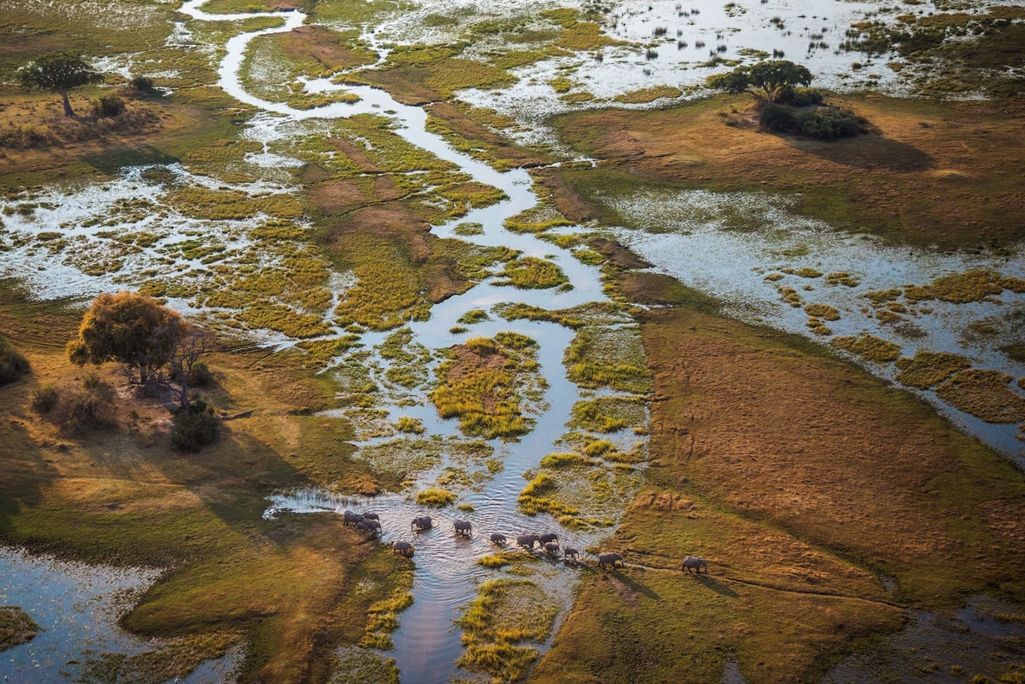 Inside the Ambitious Mission to Save Africa's Okavango Delta