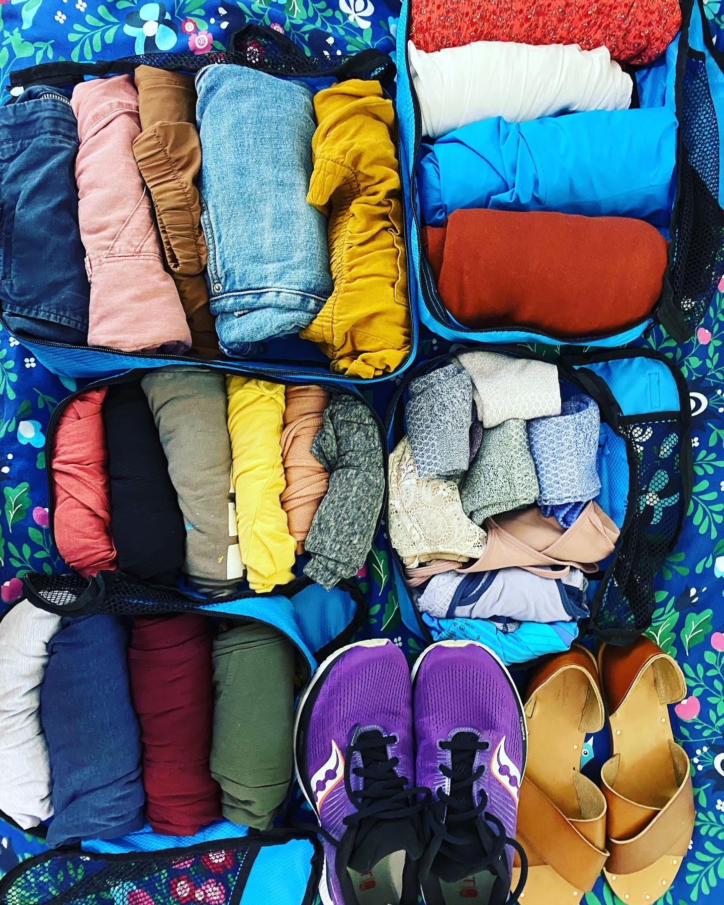 Packing cubes and shoes