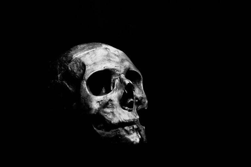 Skull on black background