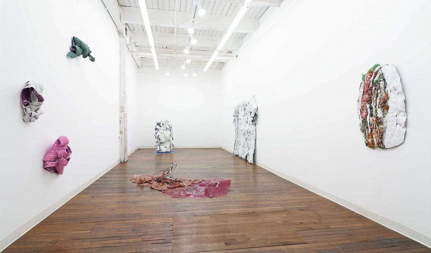 An Invitation to Explore: A Review of Judith Mullen at Devening Projects |  Newcity Art