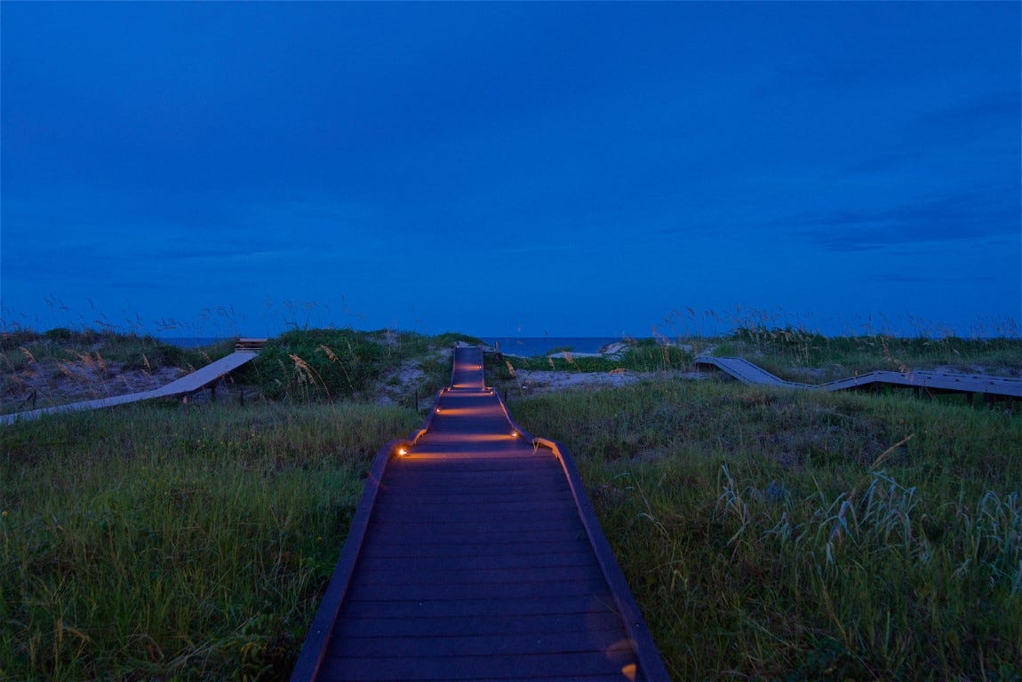 decorative picture of a walking path lit by gentle turtle-friendly LEDs