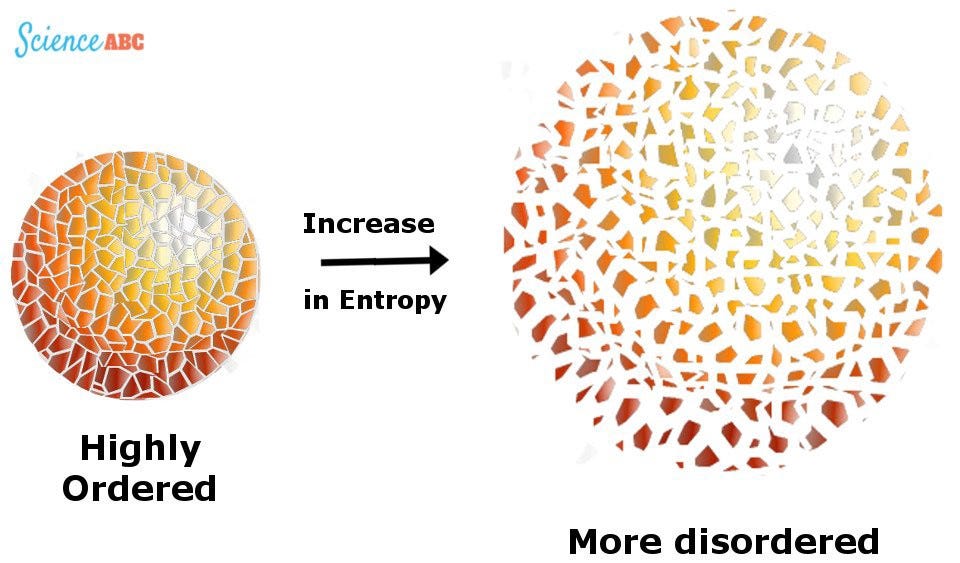 The role of entropy in the brain/mind system | by Ludovic Pain | Medium