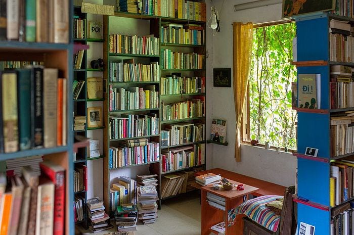 A light-filled room stocked with books. A window on the right is filled with green from the trees outside.