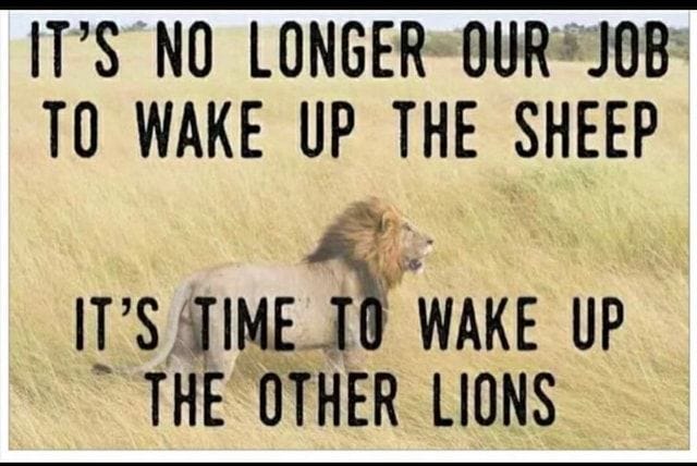 IT&#39;S NO LONGER OUR JOB TO WAKE UP THE SHEEP IT&#39;S TIME TO WAKE UP THE OTHER  LIONS – popular America&#39;s best pics and videos on the site… | Sheep quote,  Wake