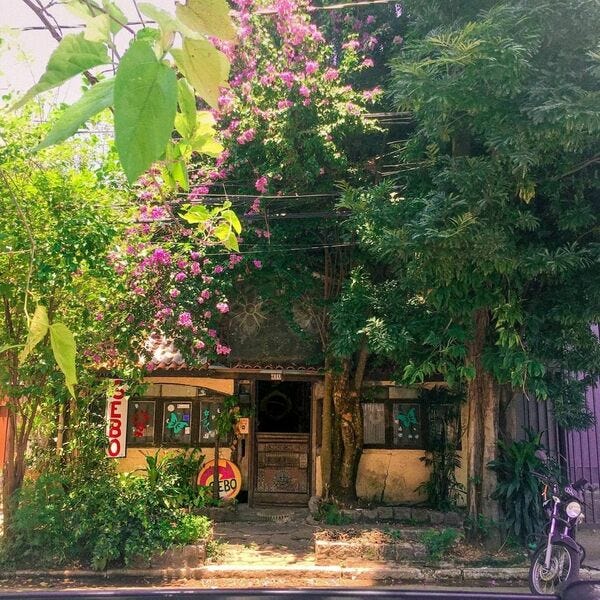 Foto tirada no sebo de infância, sem nome. Foto de Ana Rüsche/Instagram. Descrição de Imagem: uma foto tirada do lado de fora da rua. A calçada está arborizada e as plantas quase engolem o sebo. As paredes estão amareladas e com trincos. Uma porta gasta de madeira, daquelas cortadas no meio, está aberta pela metade, na altura da cintura. Ao fundo, no centro da porta, uma bandeira do brasil. Adesivos de borboleta estão colados nas janelas. Uma placa, como o logo da Skol, traz escrito SEBO.