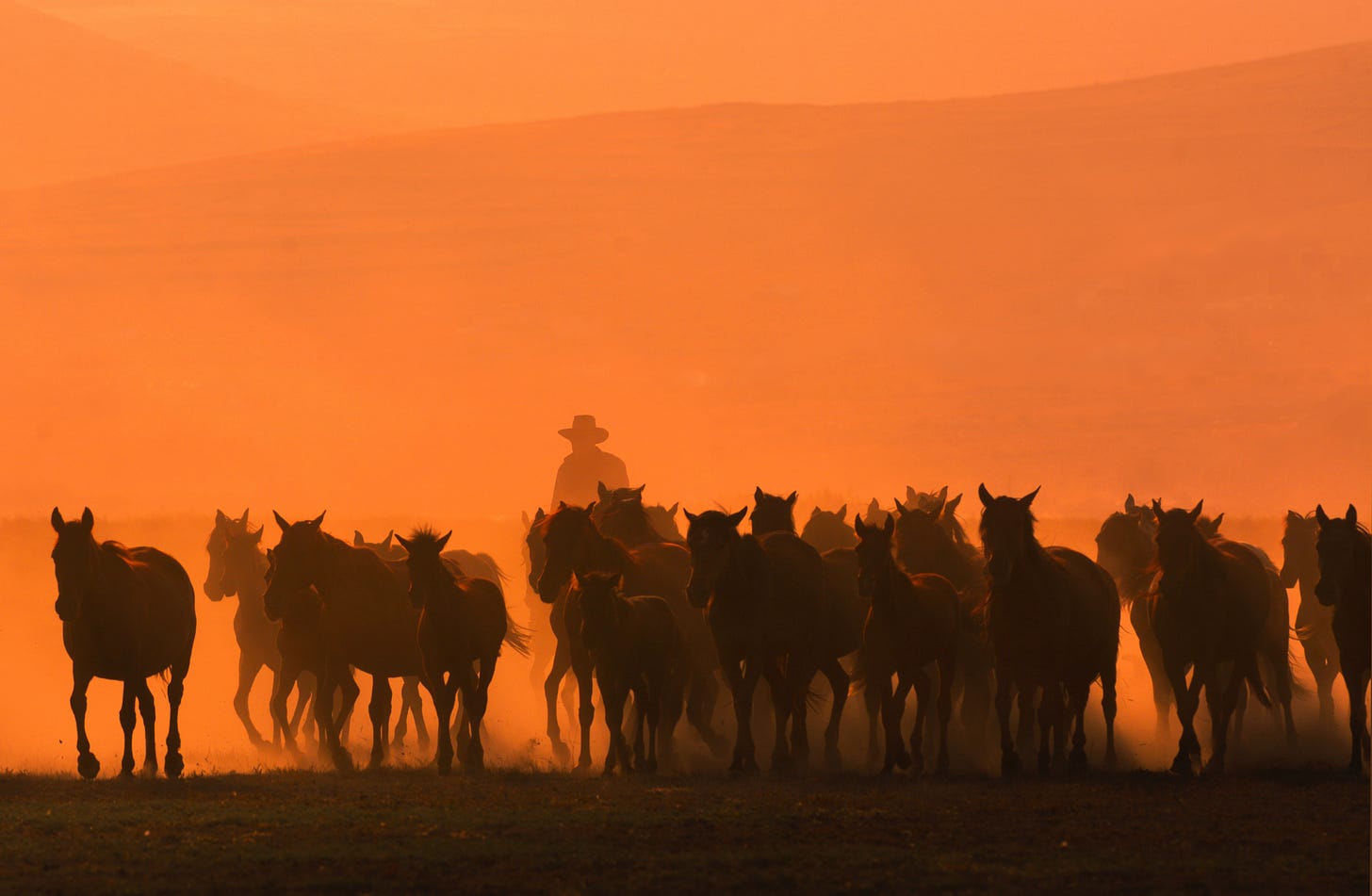 A cowboy riding in a herd of horses.