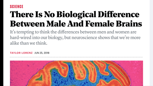 Taylor Lorenz says men and women's brains are the same