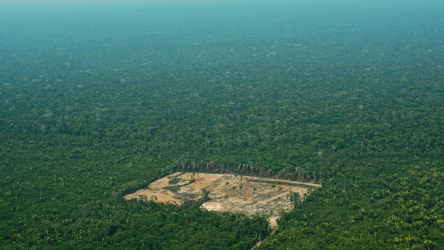 Deforestation of Brazil's Amazon rainforest reaches decade high ...