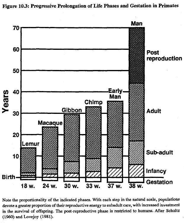 race-evolution-and-behavior-rushton-figure-10-3