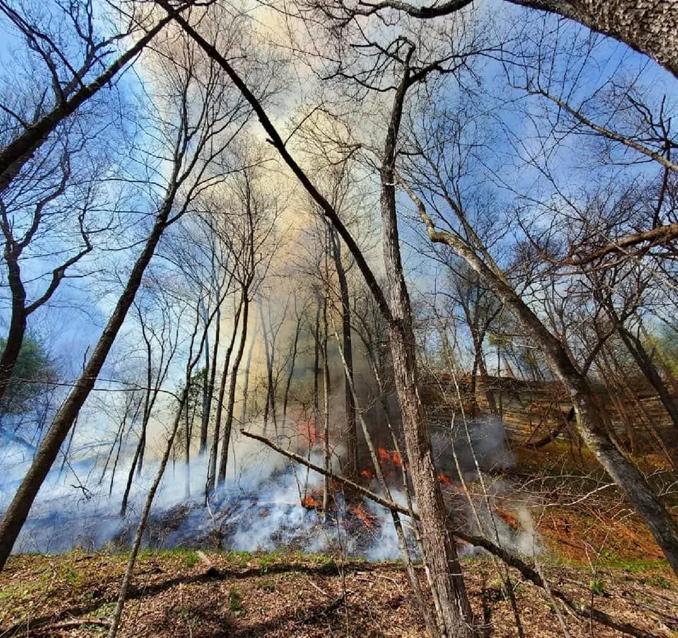 Flames travel up the side of a gorge filled with still-bare trees and rocky edges, with a column of smoke rising into blue skies overhead