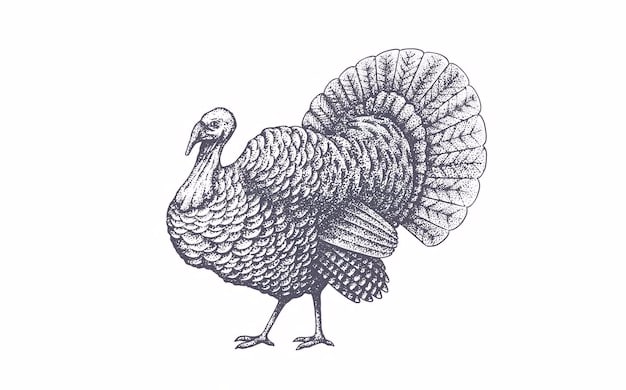 Premium Vector | Turkey. vintage retro print, black white turkey drawing,  engrave old school style.