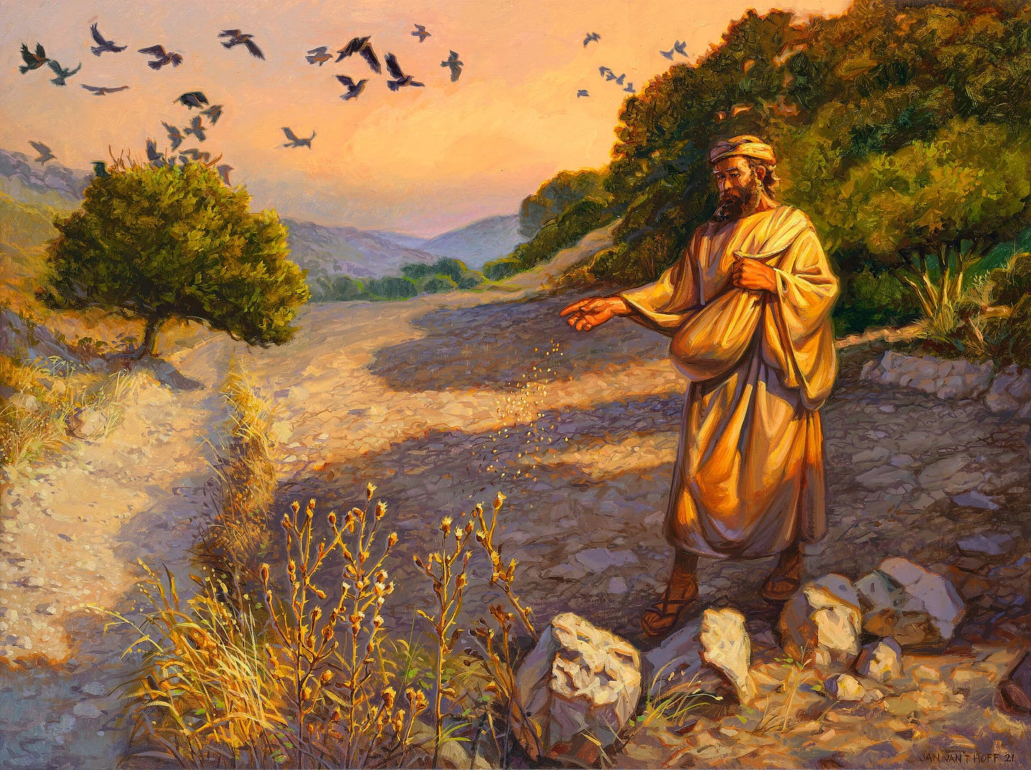 The Parable of the Sower - Gospelimages