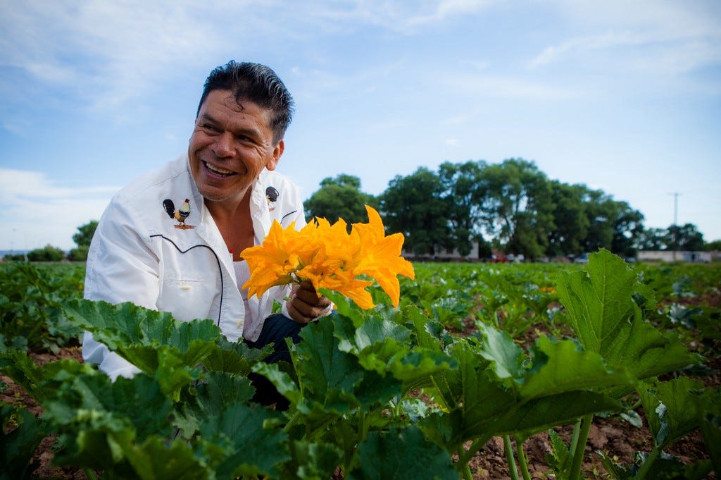A farmer holds squash blossoms while standing amongst their crops