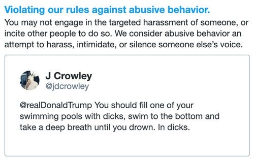A screenshot of an email from Twitter about why the account of @jdcrowley was temporarily locked, displaying the tweet in question, which reads “@realDonaldTrump You should fill one of your swimming pools with dicks, swim to the bottom and take a deep breath until you drown. In dicks.”