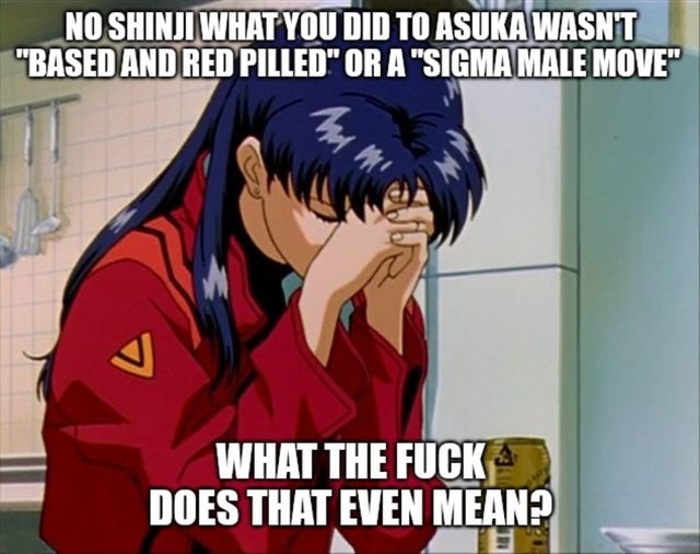 Cringe boomer Misato doesn't thinks it was poggers : r/evangelionmemes