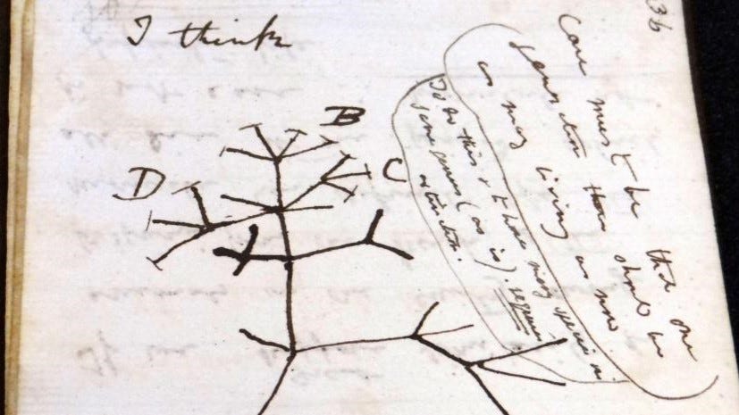 Dibujo del árbol de la vida de Charles Darwin