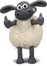 Image result for sheep Image result for sheep