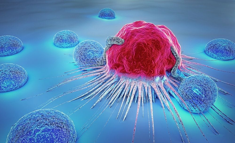 Our aging immune system explains cancer, not genetic ...