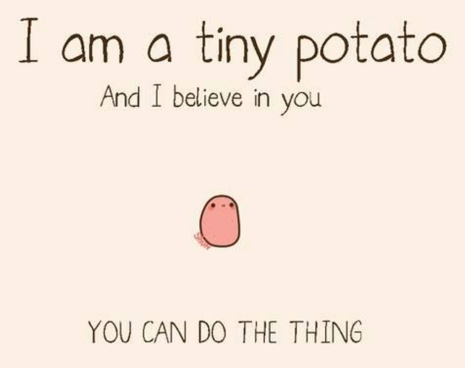 I am a tiny potato 
And I believe in you 
YOU CAN DO THE THING 