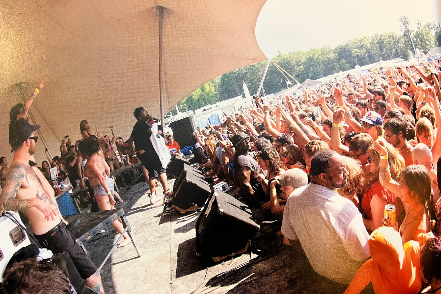 Best Friends Day has become an enormous annual event, 10 years after a group of us just went to the lake together to celebrate friendship. Here a crowd can be seen dancing while a punk rock band plays on a stage. 