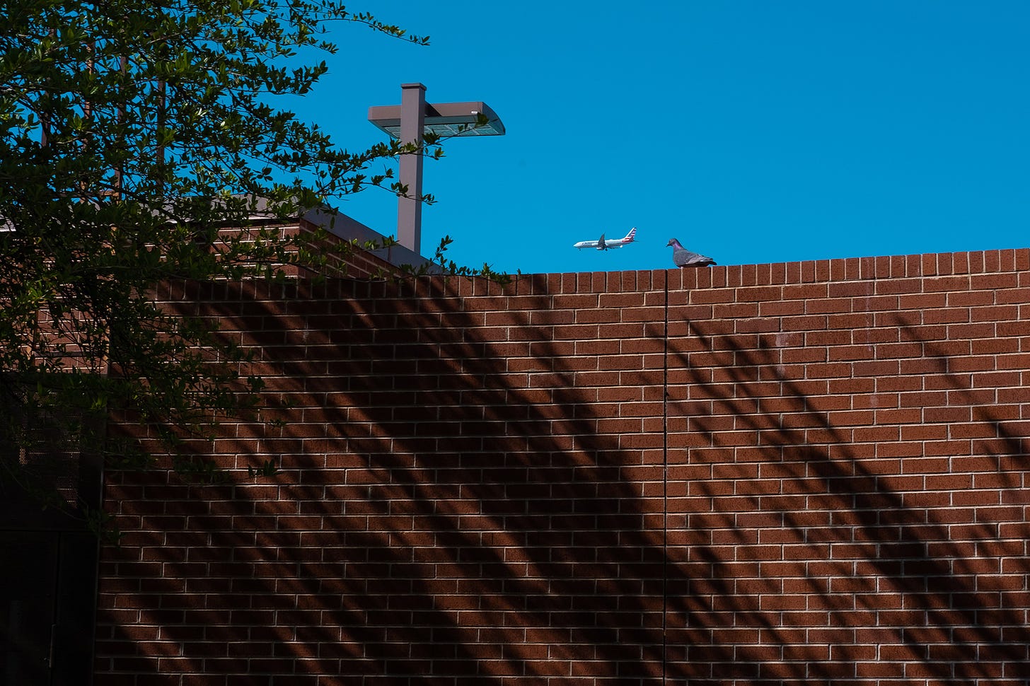 A bird perched on top of a brick wall is juxtaposed with a commercial airliner moving against a clear blue sky.
