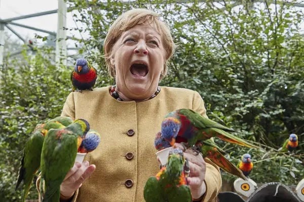 I chose the most ridiculous photo of Angela Merkel I could find. She's covered in parakeets, and looks to be very uncomfortable, cringeing or crying out from the swarm feeding from her hands. Biography is always biased, no?