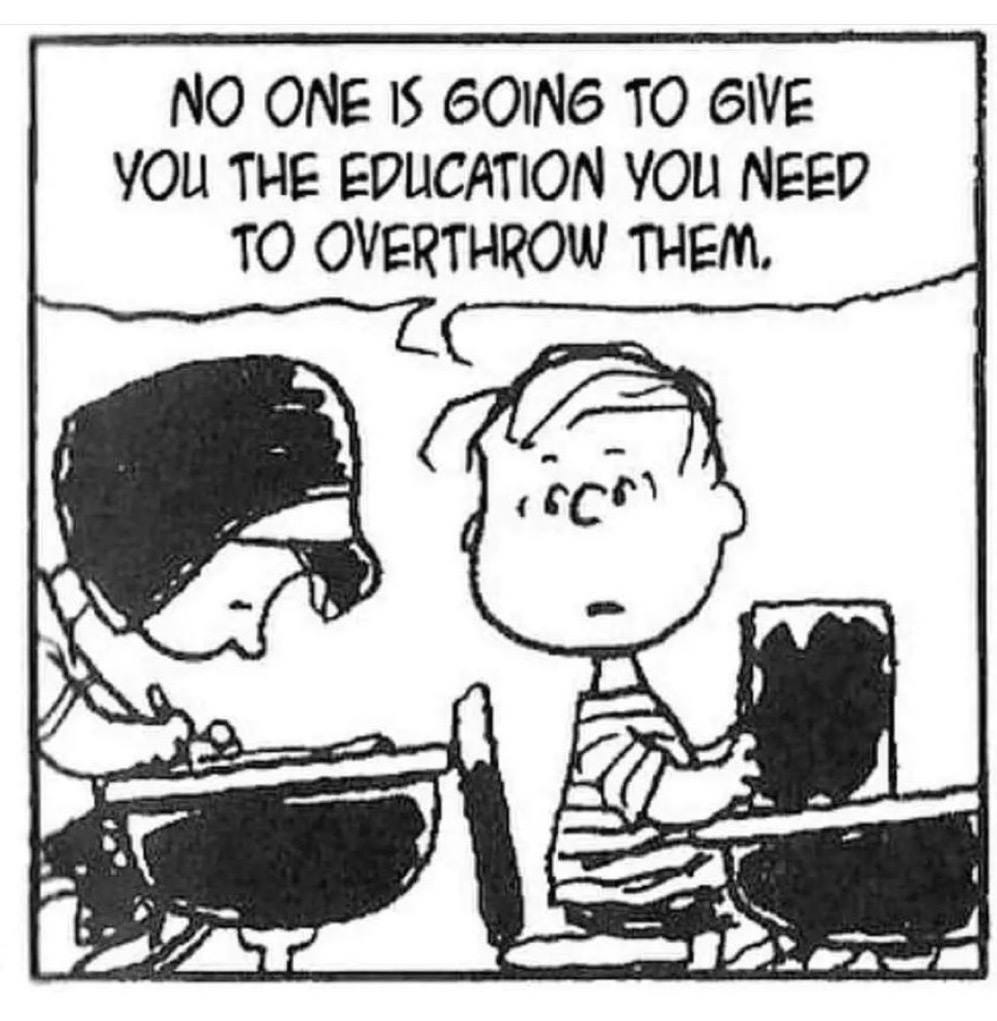 May be a cartoon of text that says 'NO ONE IS 6OING TO GIVE YOU THE EDUCATION yoU NEED TO OVERTHROW THEM,'