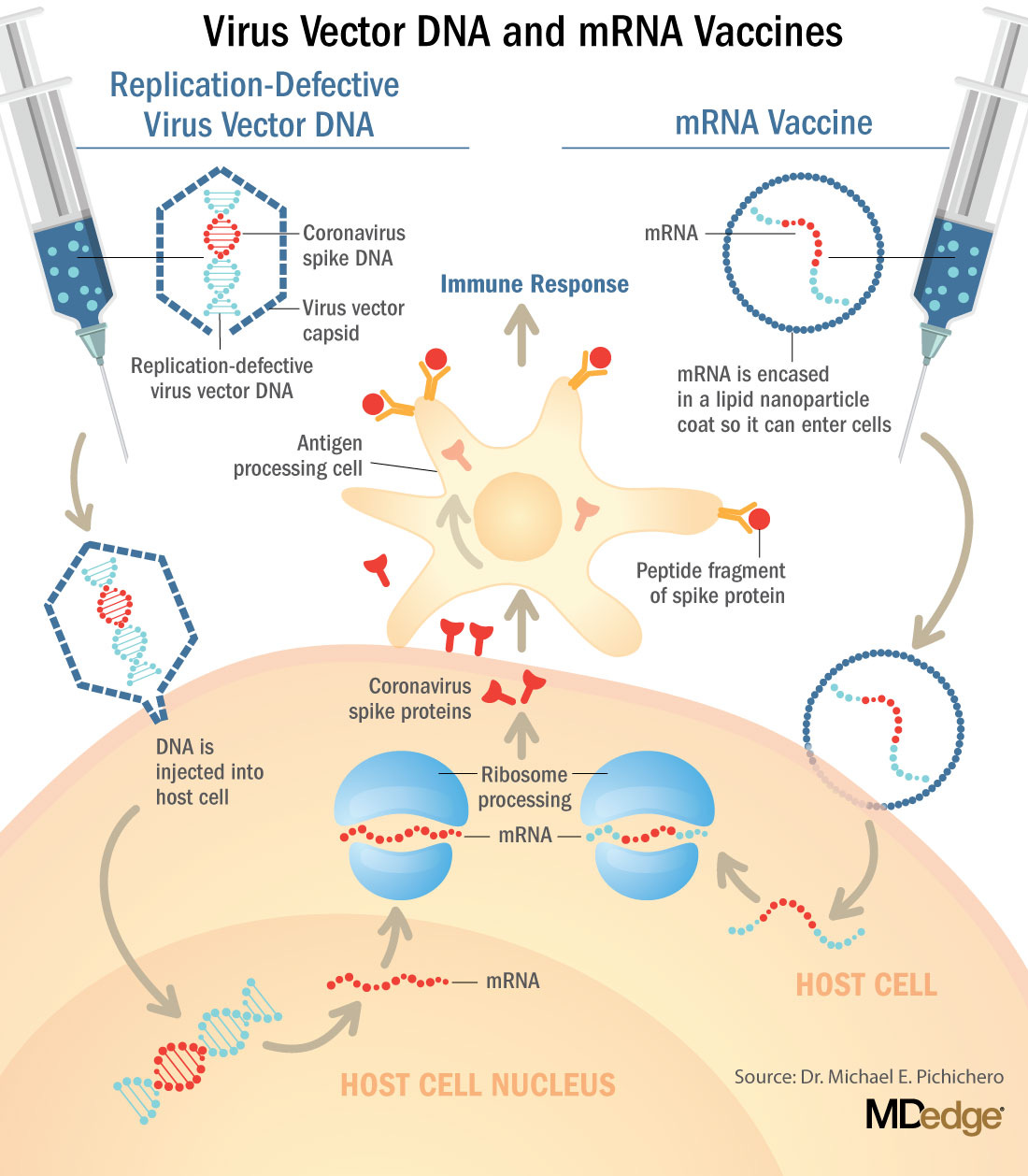 Understanding messenger RNA and other SARS-CoV-2 vaccines | MDedge  Hematology and Oncology