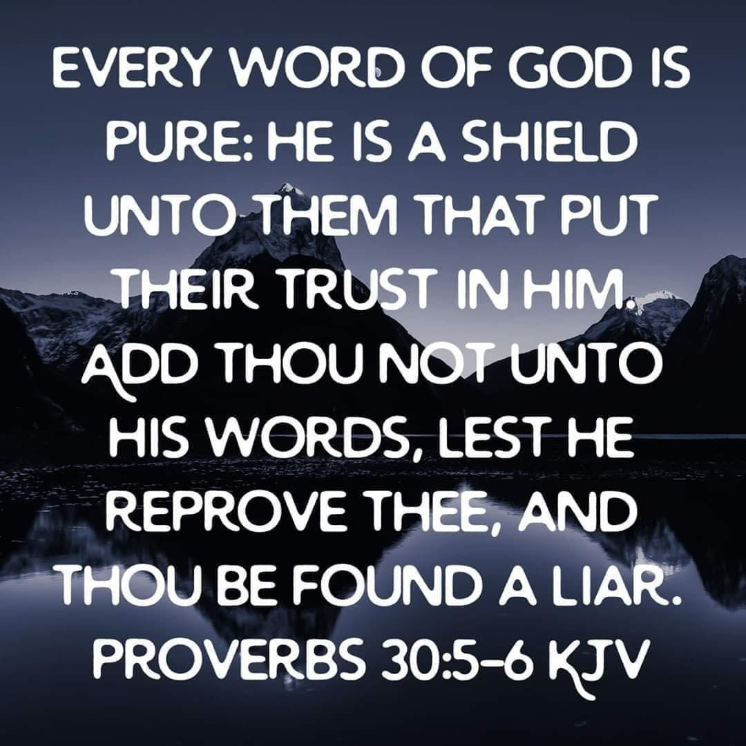 May be an image of mountain, sky and text that says "EVERY WORD OF GOD IS PURE: HE IS A SHIELD UNTO THEM THAT PUT THEIR TRUST IN HIM. ADD THOU NOT UNTO HIS WORDS, LEST HE REPROVE THEE, AND THOU BE FOUND A LIAR. PROVERBS 30:5-6 KJV"