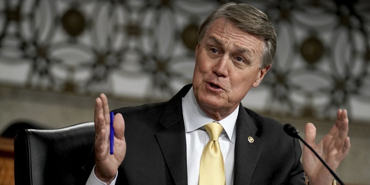 Image result for david perdue