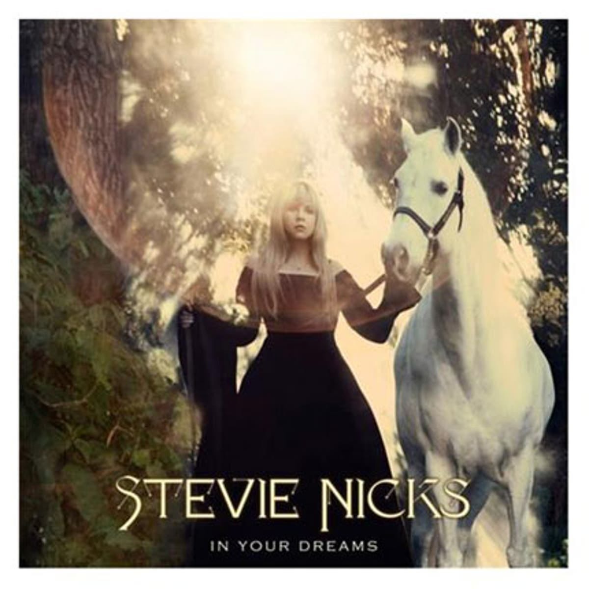 Album: Stevie Nicks, In Your Dreams (Warner) | The Independent | The  Independent