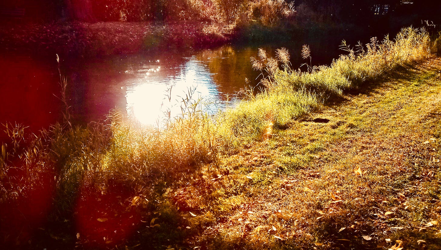 Sunshine on river