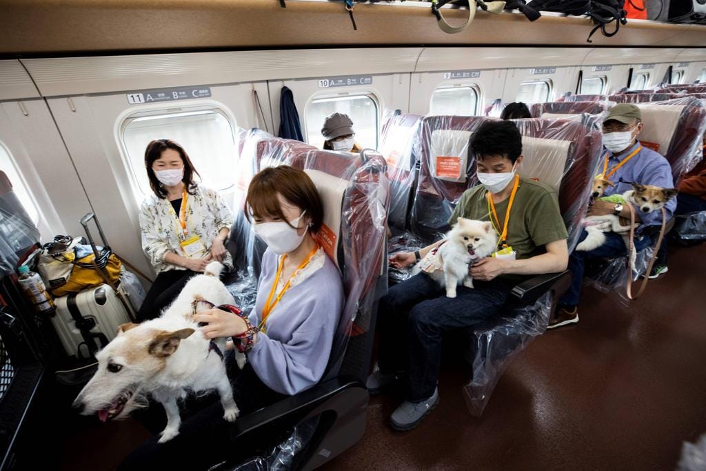 A paw-some day trip: Dogs ride Japan bullet train - Kuwait Times