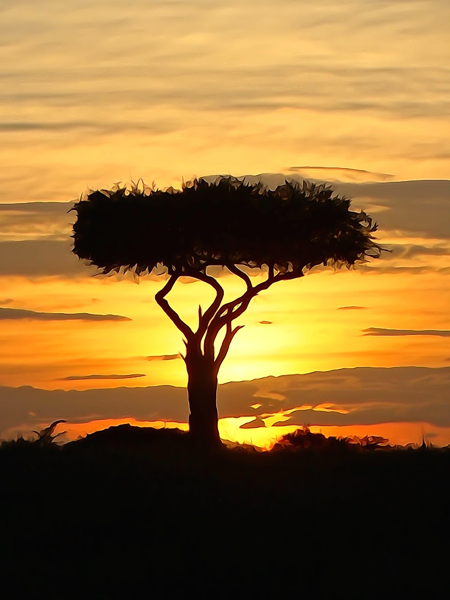 Boscia tree against the Kenyan sunset watercolour