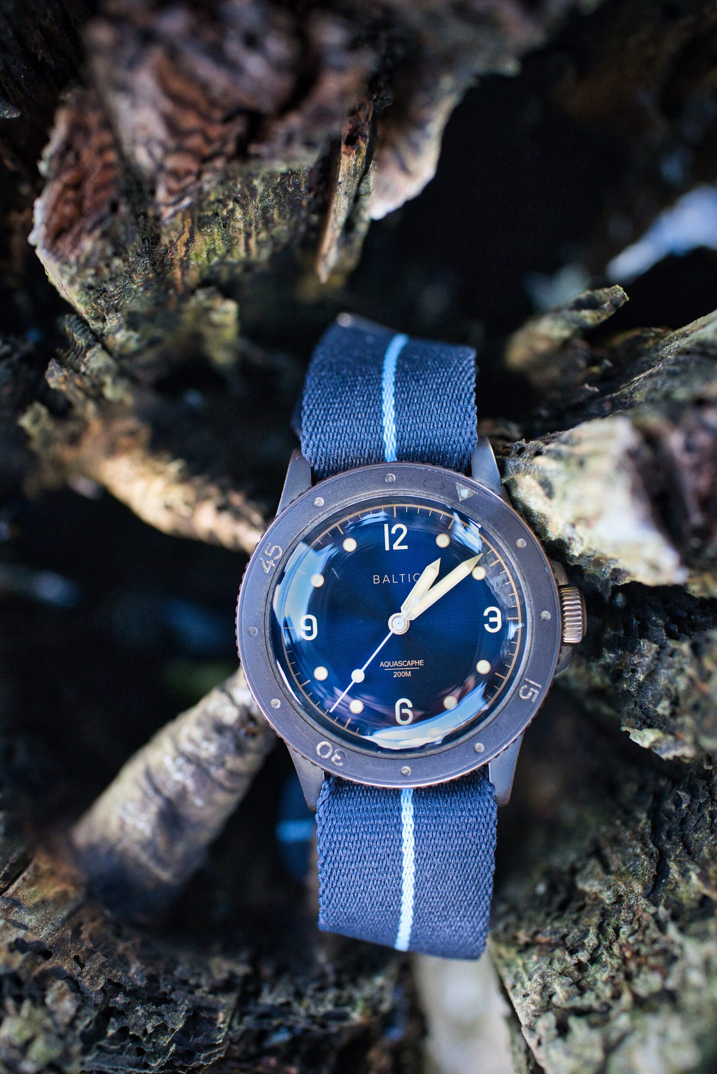 Baltic Bronze on EB Heritage Strap blue with light blue center line. Sitting in drift wood.