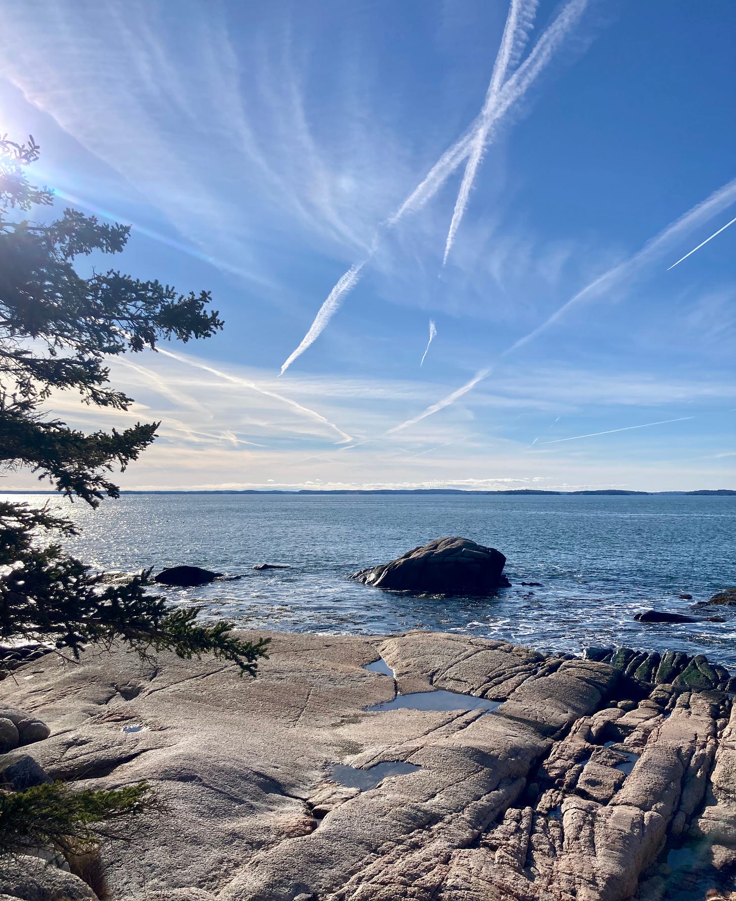 Ocean and sky, with a large granite rock and evergreen branches in the foreground. It is high tide and the water level is very high.
