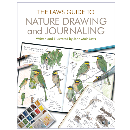 Nature Drawing and Journaling • John Muir Laws