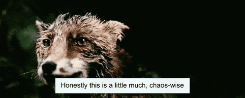 A gif of the “chaos reigns” fox from Lars Von Trier’s “Antichrist” but subtitled “Honestly this is a little much, chaos-wise.” If you don’t get it, just trust me, it’s such a good joke.